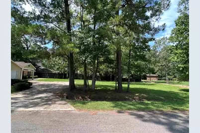1030 Pine Timbers Drive, Sour Lake, TX 77659 - Photo 33