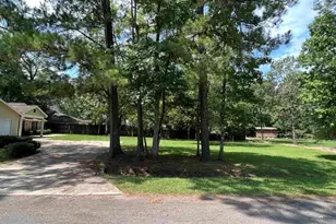 1030 Pine Timbers Dr, Sour Lake, TX 77659 - Photo 33