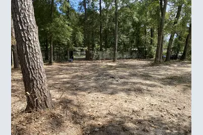 19626 Forest Drive, New Caney, TX 77357 - Photo 7