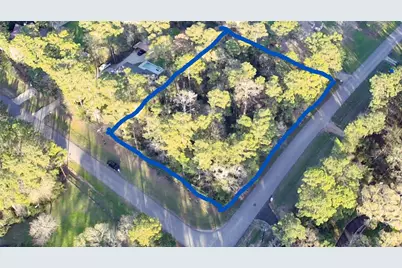 000 Baneberry Road, Magnolia, TX 77355 - Photo 1