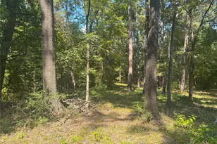 777 S Cape Royale Dr, Coldspring, TX 77331 - Photo 37