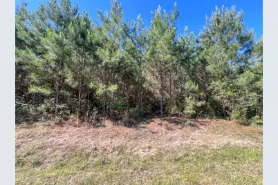 T-1 Fm 355 Eliot, Groveton, TX 75845 - Photo 7