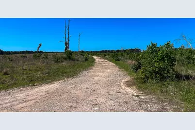 T-1 Fm 355 Eliot, Groveton, TX 75845 - Photo 3