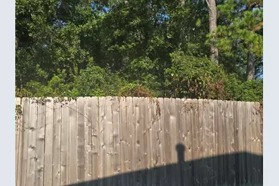 9511 Aliaga Terrace Court, Tomball, TX 77375 - Photo 29