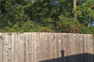 9511 Aliaga Ter Ct, Tomball, TX 77375 - Photo 29