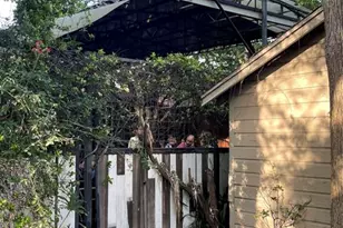 1706 Hawthorne St, Houston, TX 77098 - Photo 21