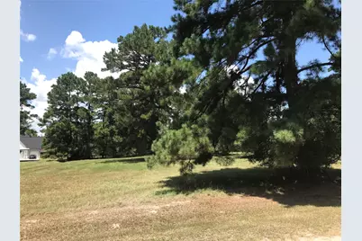 12 Cedar Springs, Trinity, TX 75862 - Photo 3