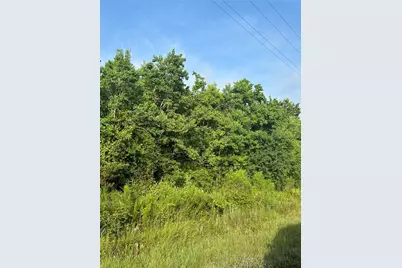 Lot 13 Pine Ridge, Prairie View, TX 77484 - Photo 1