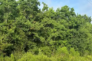 Lot 13 Pine Ridge, Prairie View, TX 77484 - Photo 1