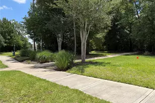 5089 Andorra Bend Ln, Porter, TX 77365 - Photo 39