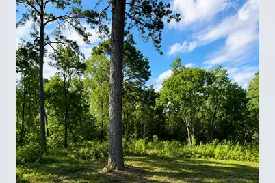 11742 US Highway 90 E, Liberty, TX 77575 - Photo 1