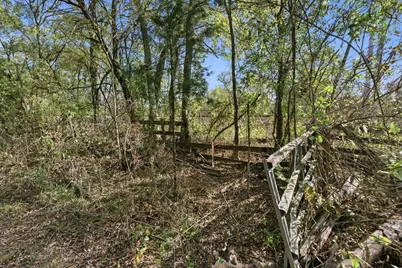 Tbd County Rd 204, Plantersville, TX 77363 - Photo 3