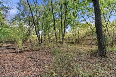 Tbd County Rd 204, Plantersville, TX 77363 - Photo 9