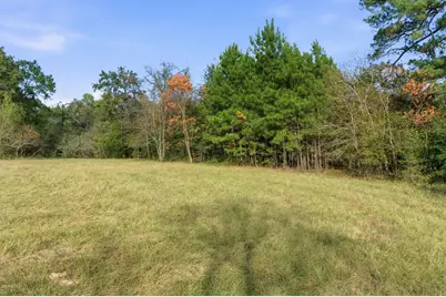 Tbd County Rd 204, Plantersville, TX 77363 - Photo 7
