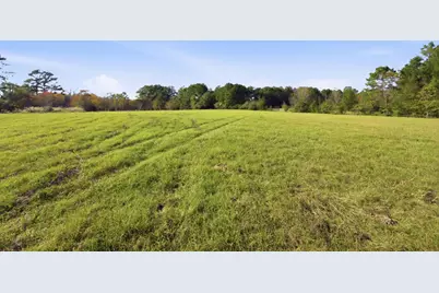 Tbd County Rd 204, Plantersville, TX 77363 - Photo 5