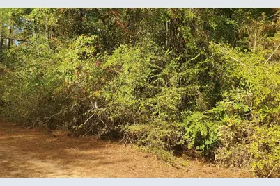 0 Indian Trail Drive, Waller, TX 77445 - Photo 3