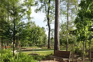 27718 River Wind Dr, Spring, TX 77386 - Photo 15