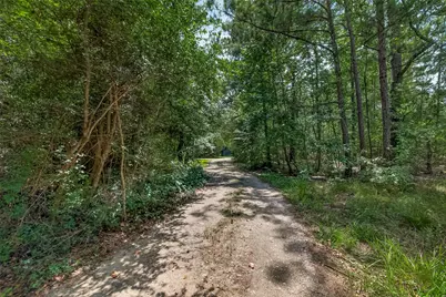14303 Lyric Road, Conroe, TX 77302 - Photo 3