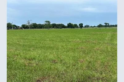 38785 Wiggins Road, Hempstead, TX 77445 - Photo 5
