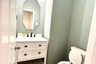 13811 Giant Panda Bear Ave, Crosby, TX 77532 - Photo 9