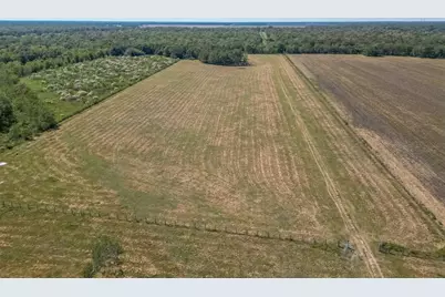 16631 Baker Cr 522 Road, Guy, TX 77444 - Photo 21