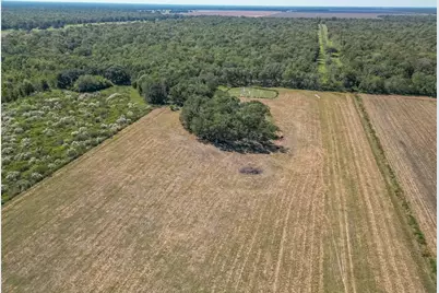 16631 Baker Cr 522 Road, Guy, TX 77444 - Photo 23