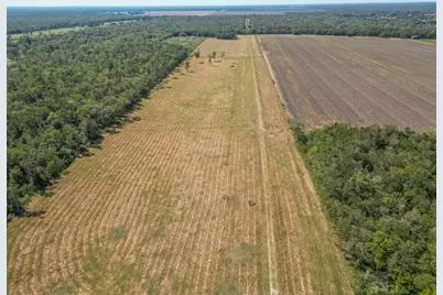 16631 Baker Cr 522 Road, Guy, TX 77444 - Photo 19