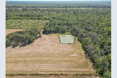 16631 Baker Cr 522 Road, Guy, TX 77444 - Photo 25