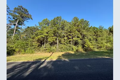 1-1-51 Saddle Ridge Drive, Huntsville, TX 77340 - Photo 13