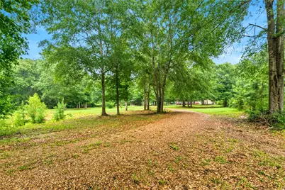 1151 County Line Road, Shepherd, TX 77371 - Photo 3