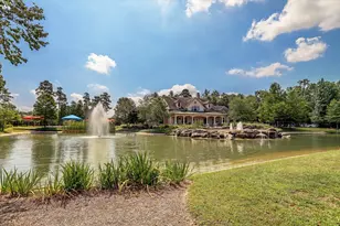 31734 Serrano Bluff Ln, Spring, TX 77386 - Photo 25