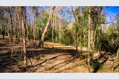 0 Live Oak Lane, Coldspring, TX 77331 - Photo 9