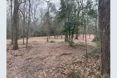 0 Live Oak Lane, Coldspring, TX 77331 - Photo 3