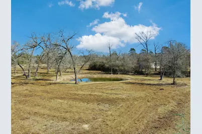 26050 Forest Hills Lane, Waller, TX 77484 - Photo 15