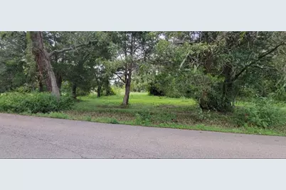 6415 S F Austin, Jones Creek, TX 77541 - Photo 5