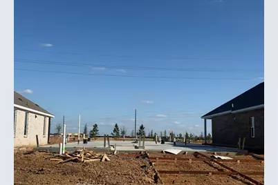 31727 Wild Meadow Drive, Fulshear, TX 77423 - Photo 5