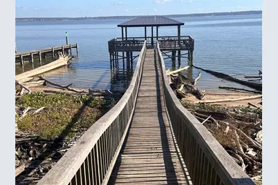 Tbd Monte Carlo Road, Point Blank, TX 77364 - Photo 3