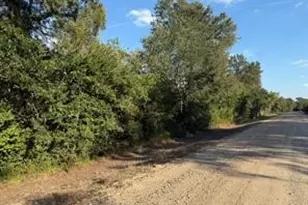 15530 Tierra Grande Dr, Needville, TX 77461 - Photo 5