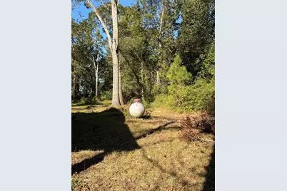 14696 Kyle Lane, Conroe, TX 77306 - Photo 5