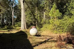 14696 Kyle Ln, Conroe, TX 77306 - Photo 5