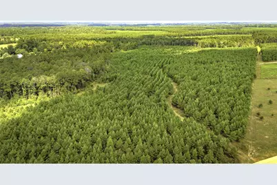 Tbd Stutts, Livingston, TX 77351 - Photo 9