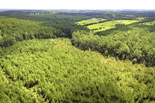 Tbd Stutts, Livingston, TX 77351 - Photo 1