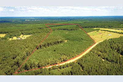 Tbd Stutts, Livingston, TX 77351 - Photo 7