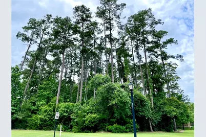 67 N Glenwild Circle, Spring, TX 77389 - Photo 5