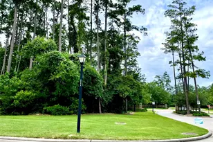 67 N Glenwild Cir, Spring, TX 77389 - Photo 1