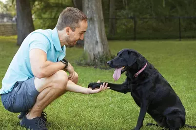 12410 Mead Grove Drive, Texas City, TX 77591 - Photo 47