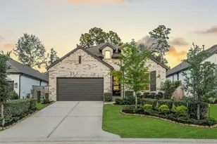 247 Sky Top Dr, Montgomery, TX 77316 - Photo 1