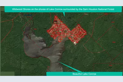 187 N Forest Drive, Huntsville, TX 77340 - Photo 15