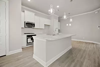 11415 Lucky Falls Drive, Houston, TX 77047 - Photo 9