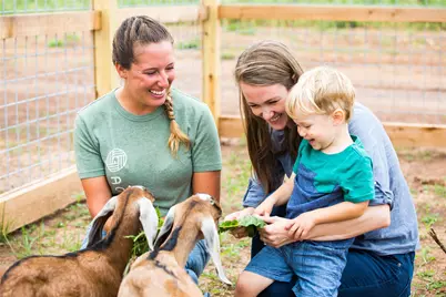 442 Apple Core Way, Richmond, TX 77406 - Photo 25